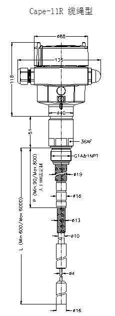 Cape-11R纜繩型射頻導(dǎo)納料位開關(guān)